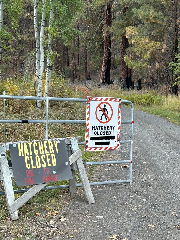 Klamath Fish Hatchery Logo