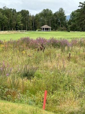 WAUMBEK GOLF COURSE Updated July 2025 15 Photos 28 Waumbek St