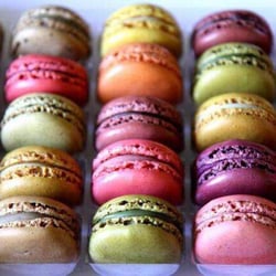 Cake Boutique Bakery - Macaroons