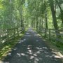 Bruce Freeman Rail Trail
