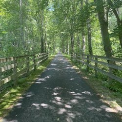Bruce Freeman Rail Trail - Trail