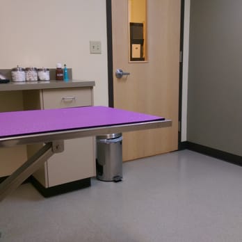 All Creatures Animal Hospital - Very neat and clean exam rooms - Veterinarians Near Me - Bremerton, Washington All Creatures Animal Hospital - Very neat and clean exam rooms - Veterinarians Near Me - Bremerton, Washington