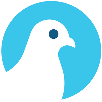 Pijyn Design & Technologies - Pijyn Designs, LLC - Web Design Near Me - Chicago, Illinois