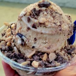 Handel's Homemade Ice Cream & Yogurt - Coffee Chocolate Chip with Heath