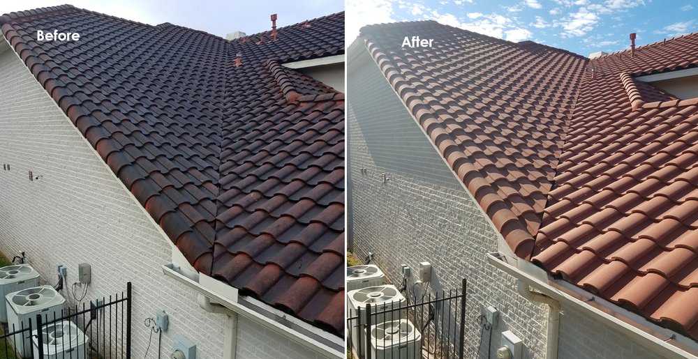 Slide of Slime Busters