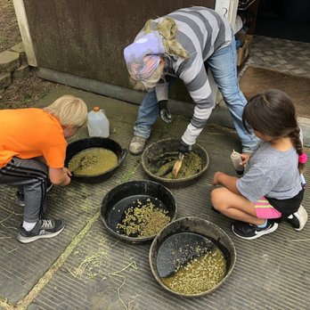 Double J Ranch - Learning to mix up the special diets to care for the rescue horses. - Horseback Riding Near Me - Montara, California Double J Ranch - Learning to mix up the special diets to care for the rescue horses. - Horseback Riding Near Me - Montara, California