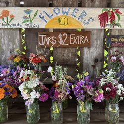 Worker Bee Farm