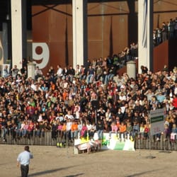 Olma - Look at all the people watching the pig races!
