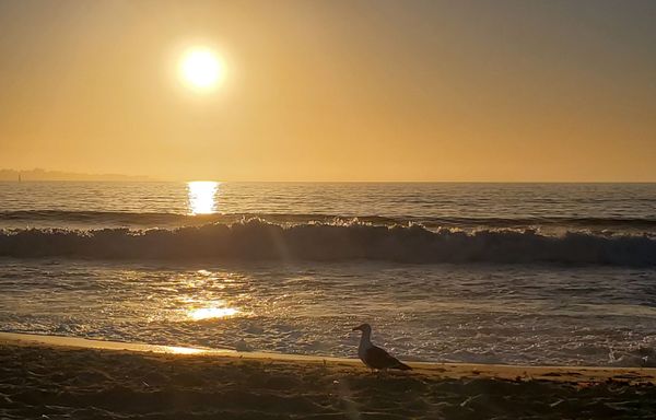 Monterey State Beach by null