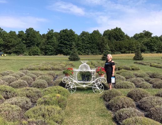 Fragrant Isle Lavender Farm & Shop by null