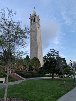 The Campanile by null