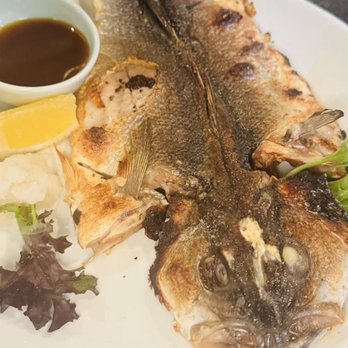 Opus Sushi - Japanese Near Me - Arcadia, California Opus Sushi - Japanese Near Me - Arcadia, California