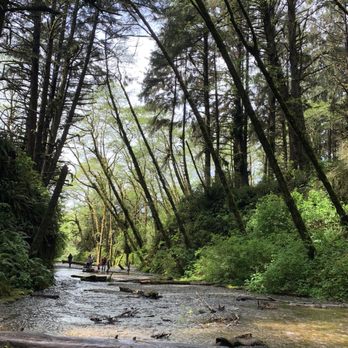 Fern Canyon Trailhead - Parks Near Me