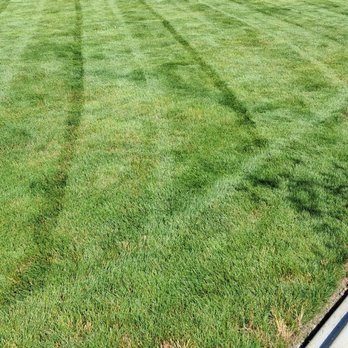 Pablo Landscape Company - Lacey Washington - Lawn Services Near Me - Rochester, Washington Pablo Landscape Company - Lacey Washington - Lawn Services Near Me - Rochester, Washington