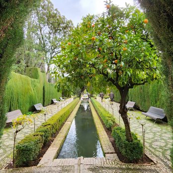 La Alhambra y El Generalife - Generalife pool - Landmarks & Historical Buildings Near Me - Granada, GR La Alhambra y El Generalife - Generalife pool - Landmarks & Historical Buildings Near Me - Granada, GR