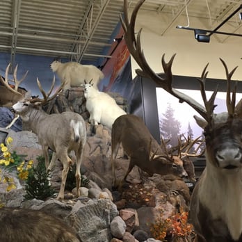 Field & Stream - You are an animal ! - Outdoor Gear Near Me - Hoover, Alabama Field & Stream - You are an animal ! - Outdoor Gear Near Me - Hoover, Alabama