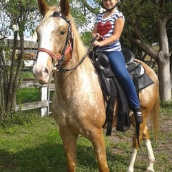 Happy Pony World