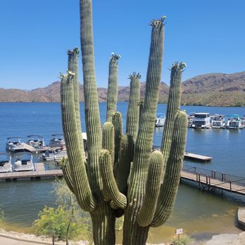 Shiprock Restaurant - American Near Me - Mesa, Arizona