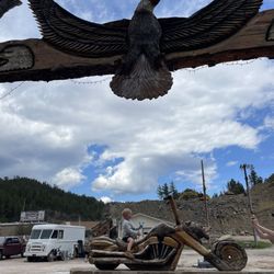 Dahl's Chainsaw Art
