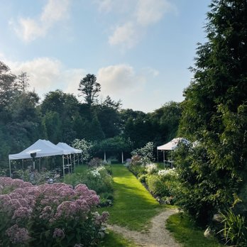 Woods - Garden - New American Near Me - West Tisbury, Massachusetts