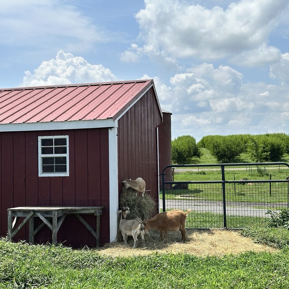 TOP 10 BEST Apple Picking Farm near Sterling, VA - Updated 2026 - Yelp