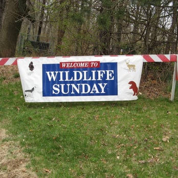 Trailside Nature and Science Center - Springtime ~ Wildlife Sunday by Trailside Nature & Science Center in the Watchung Reservation 2008 - Parks Near Me - Mountainside, New Jersey Trailside Nature and Science Center - Springtime ~ Wildlife Sunday by Trailside Nature & Science Center in the Watchung Reservation 2008 - Parks Near Me - Mountainside, New Jersey