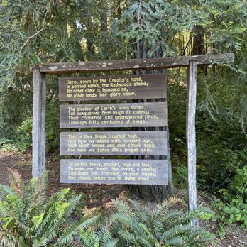 Drive-Thru Tree - Sogn - Parks Near Me - Leggett, California Drive-Thru Tree - Sogn - Parks Near Me - Leggett, California