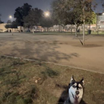 La Palma Dog Park - Dog Parks Near Me - Anaheim, California La Palma Dog Park - Dog Parks Near Me - Anaheim, California