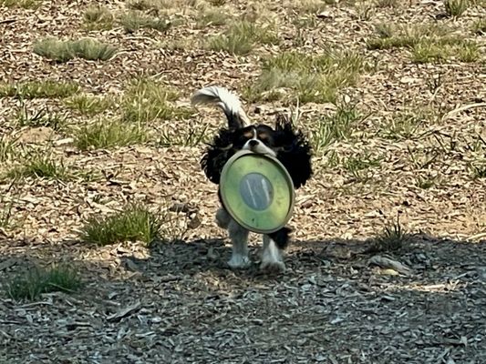 LaPine State Park by null