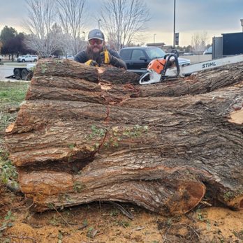 Rusty Wood Construction - a man using a chainsaw to cut a large tree - Tree Services Near Me Rusty Wood Construction - a man using a chainsaw to cut a large tree - Tree Services Near Me