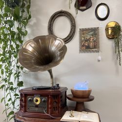 Magnolia & Co