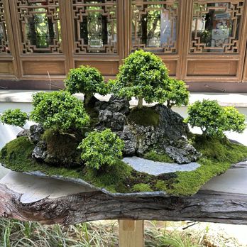 Lan Su Chinese Garden - Botanical Gardens Near Me - Portland, Oregon Lan Su Chinese Garden - Botanical Gardens Near Me - Portland, Oregon