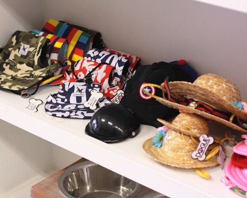 Dogue Grooming & Pet Boutique by null