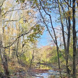 Little Paint Branch Park