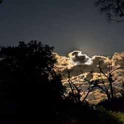 Lake Solano County Park and Campground - Moonrise