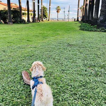 The Pets Pal - Dog Walkers Near Me - Santa Barbara, California