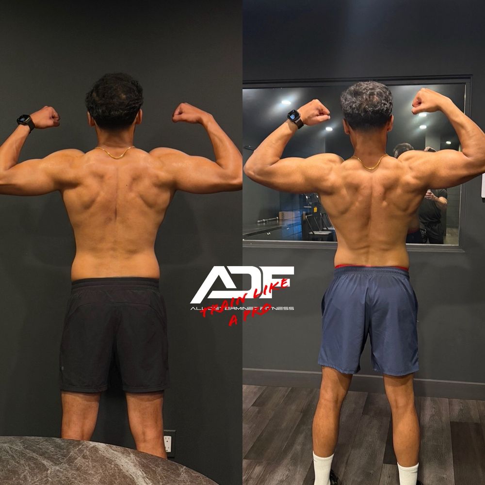 ADF Training - 30 days training with Alex - Gyms Near Me - Costa Mesa, California ADF Training - 30 days training with Alex - Gyms Near Me - Costa Mesa, California