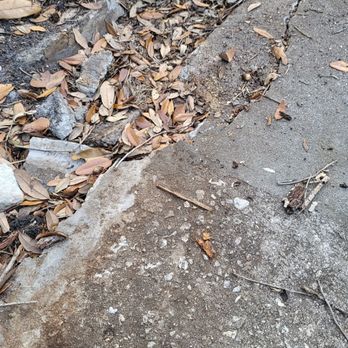 Leilani Tree & Land Services - Damage cover up driveway with drain system - Tree Services Near Me - Palmetto, Florida Leilani Tree & Land Services - Damage cover up driveway with drain system - Tree Services Near Me - Palmetto, Florida