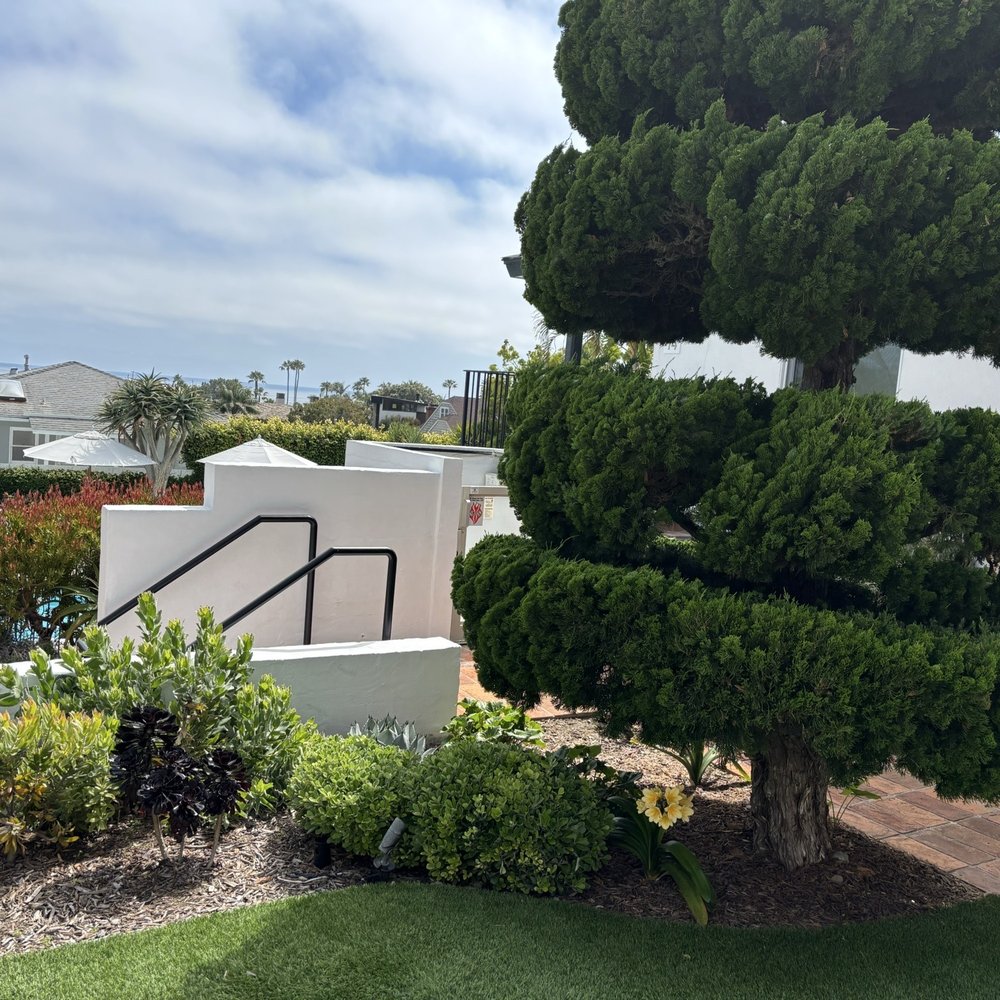 Hotel Joaquin - View from the lobby/cafe area - Hotels Near Me - Laguna Beach, California