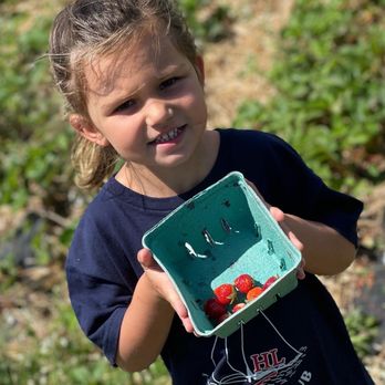 Ochs Orchard - Fruits & Veggies Near Me - Warwick, New York