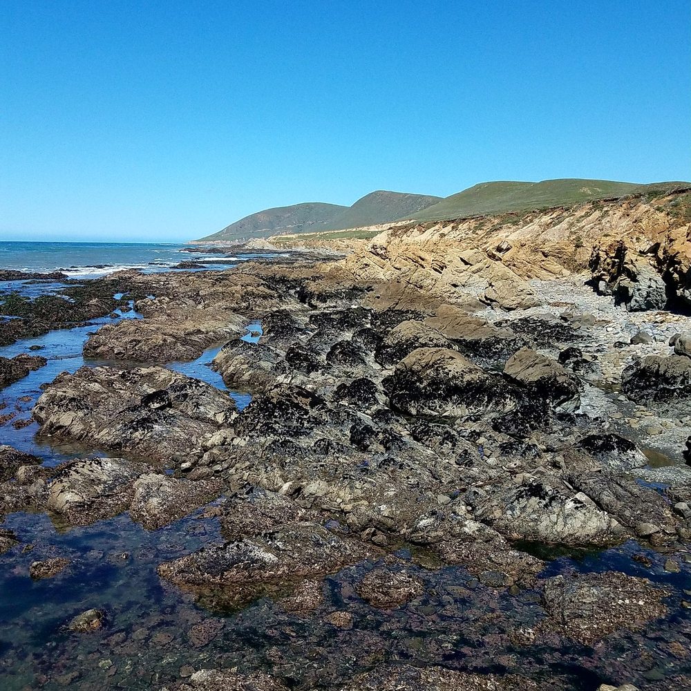 Harmony Headlands State Park - Parks Near Me - Cayucos, California Harmony Headlands State Park - Parks Near Me - Cayucos, California