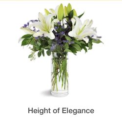 Vero Beach Florist - What I ordered $180