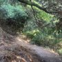 Trolley Hill Park
