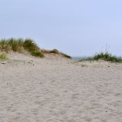 Ellenbogen