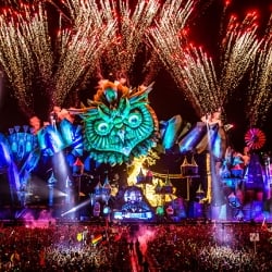 Electric Daisy Carnival