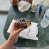 Best Doughnuts gift card