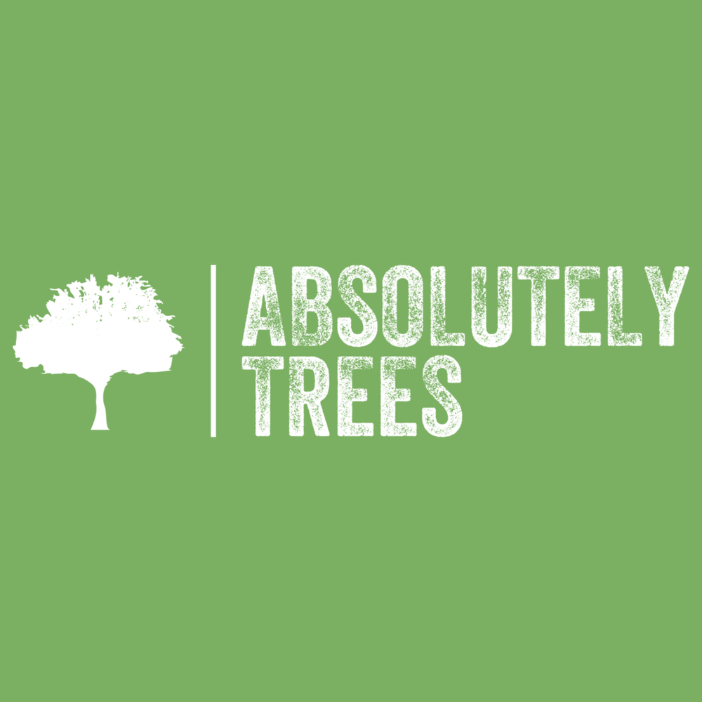 Absolutely Trees - tree service in Tucson, AZ