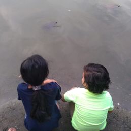 You could barely see the turtle from how dirty the water is i feel bad for them. You could barely see the turtle from how dirty the water is i feel bad for them.