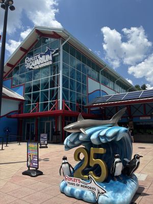Ripley's Aquarium of the Smokies by null