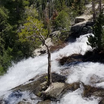 Cascade Falls - Tree growing in the waterfall. Cool! - Hiking Near Me
